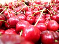 Washington State Cherries from Yakima